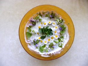 Schuessel_mit_Gruener_Sauce